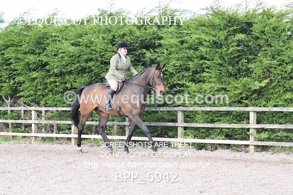 BPP_6942 - RING 1  (RIDDEN HORSES / IN HAND / VETERAN ETC)