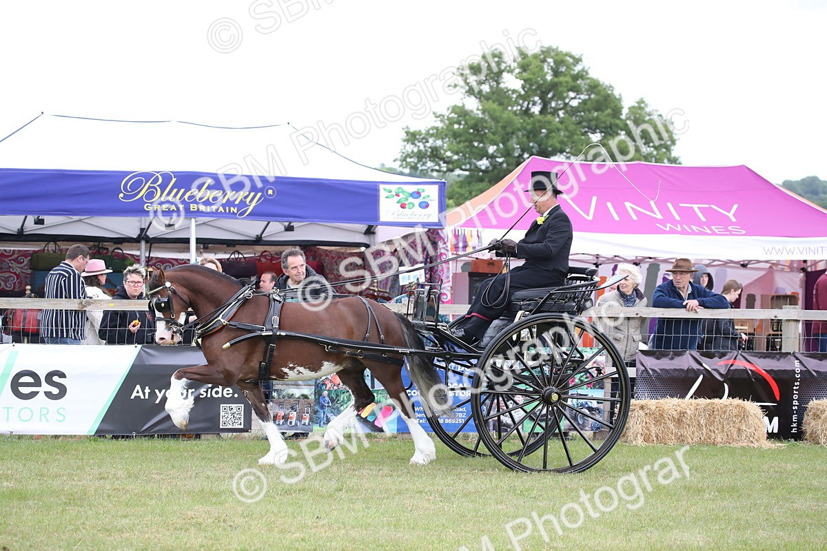 SBM_05856 - Class 12-15 - HOYS Private Driving