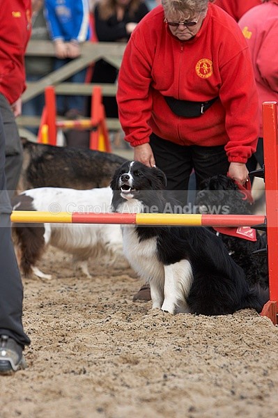  - Greenstead Green Farm Shop Animal Open Day