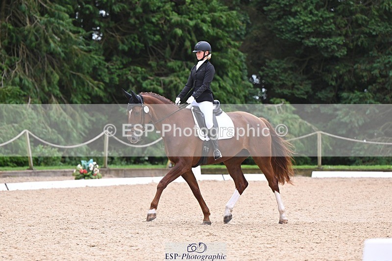 240809-121655-00724 - 185-Daisy.Hedges-Felicia.v