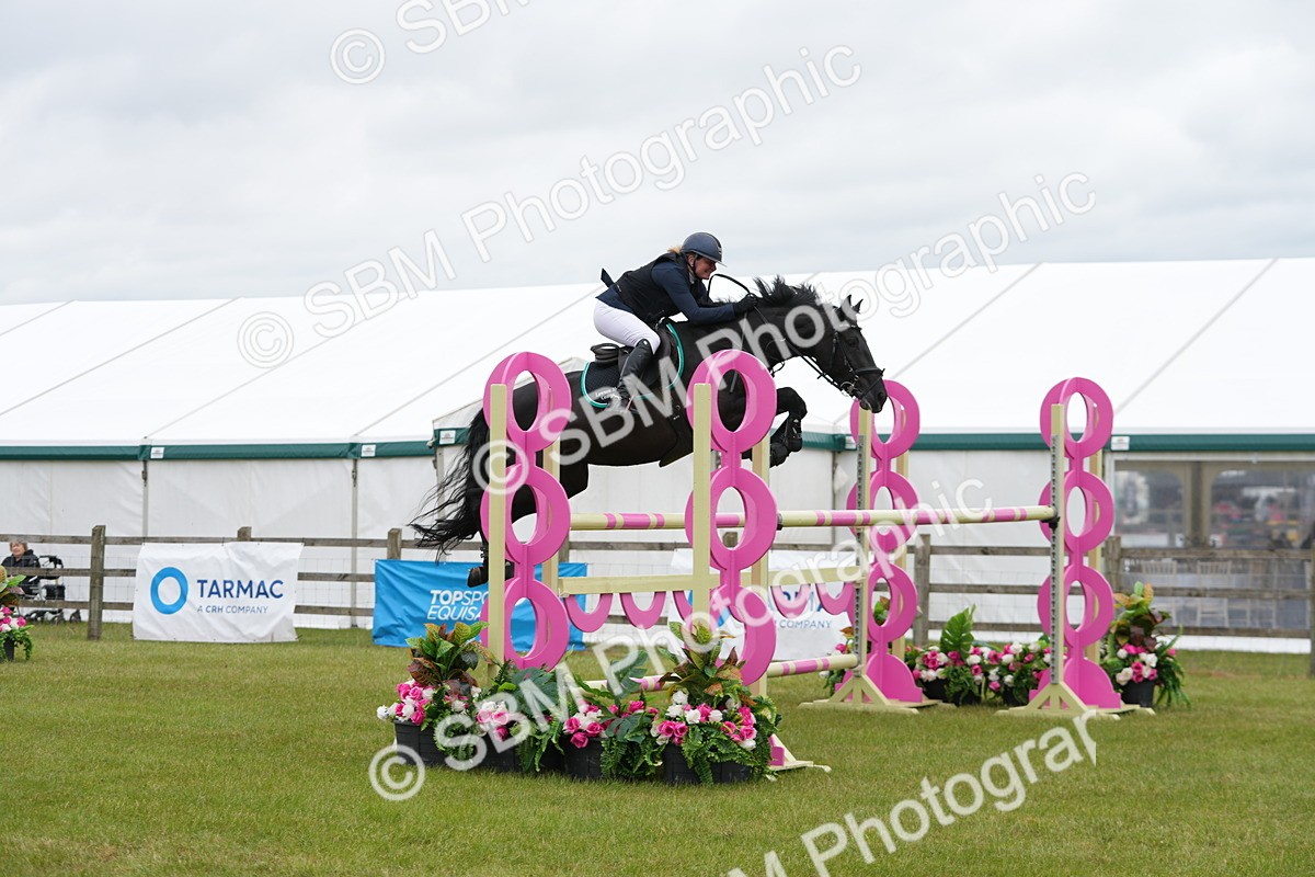 SBM_03146 - Class 201 - British Horse Feeds Speedi Beet Horse of the Year Show Grade  C