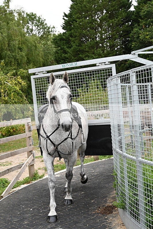 WJ6_2939 - Berks & Bucks - The Old farmhouse - Hound Exercise 20-08-25