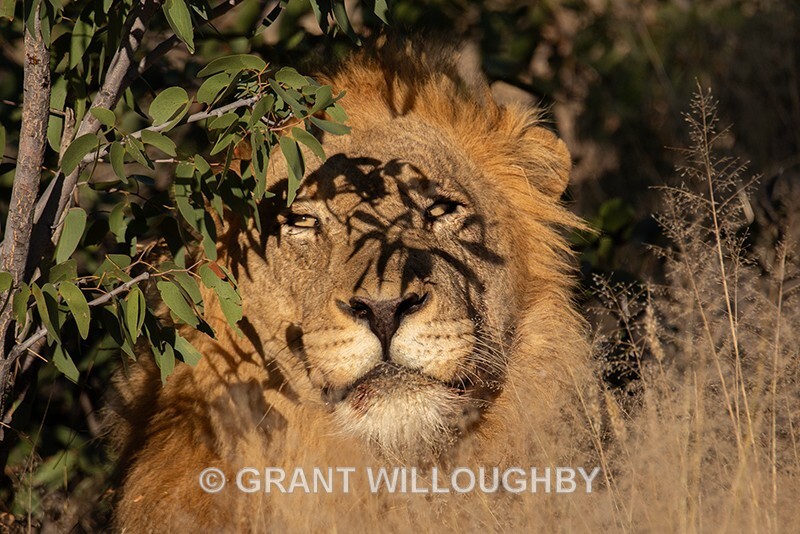  - Namibia