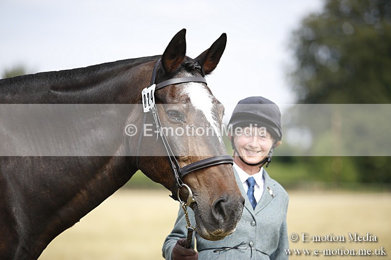 _C7A9389 - BVRC Sow 2018 Ring 2