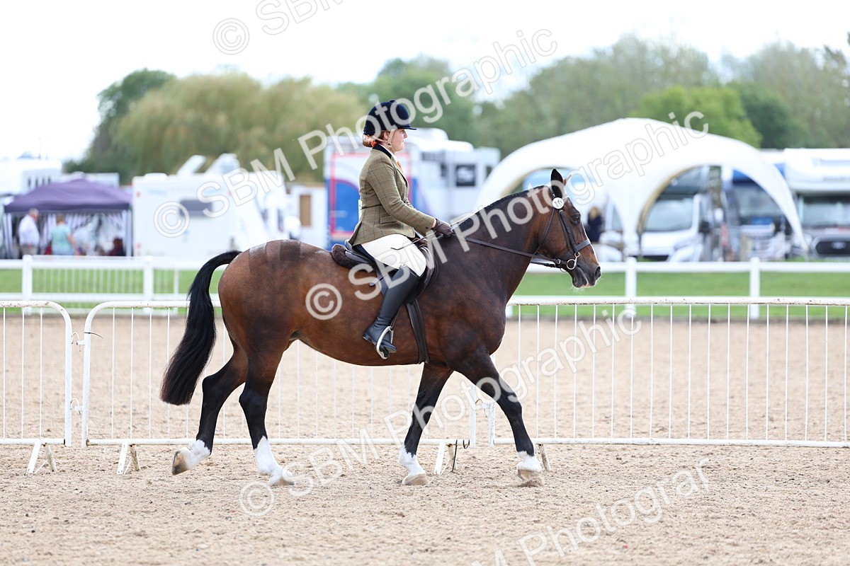SBM_15748 - Class 314 - Family Horse - Pony
