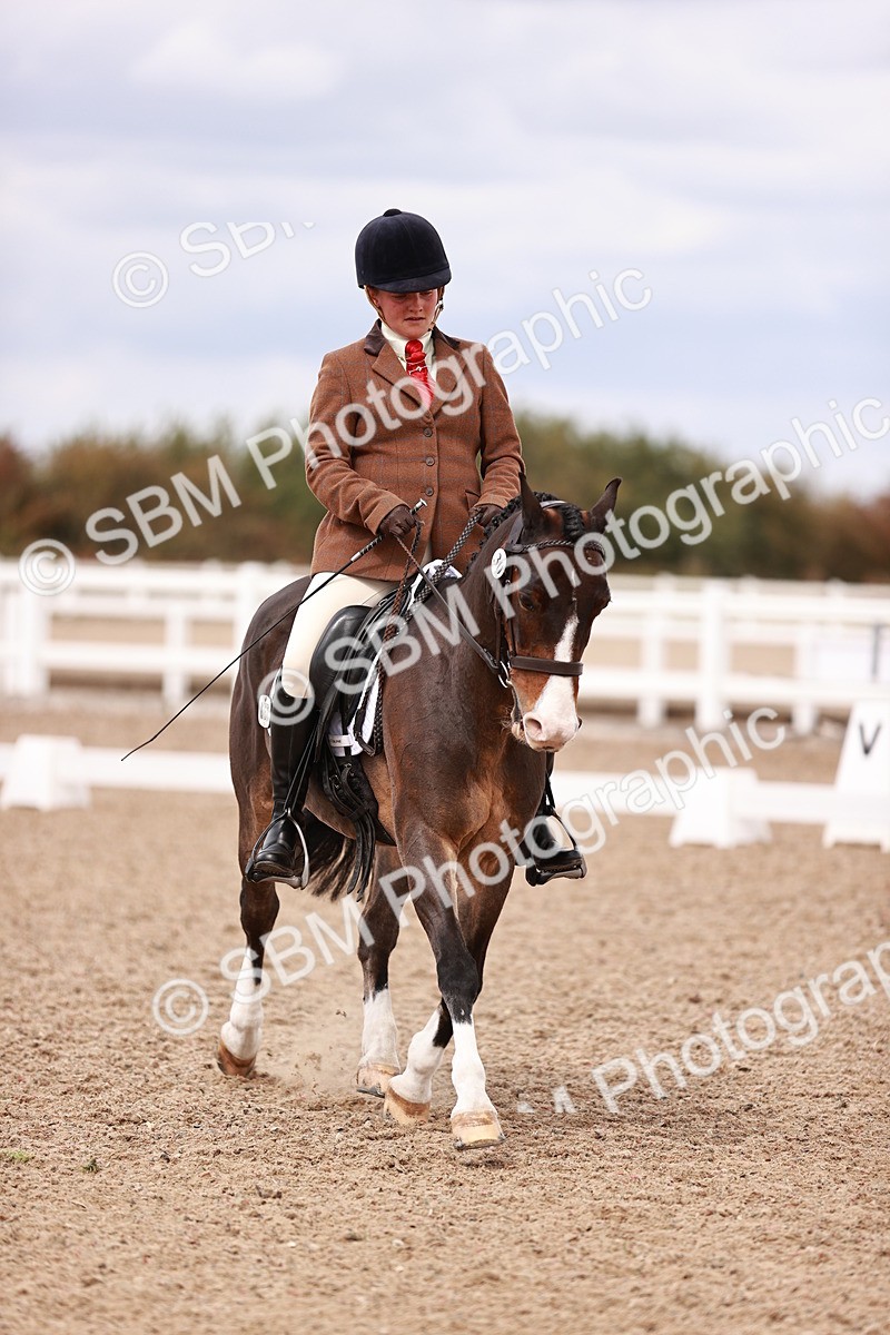 SBM_06250 - Class 37 - Novice 5