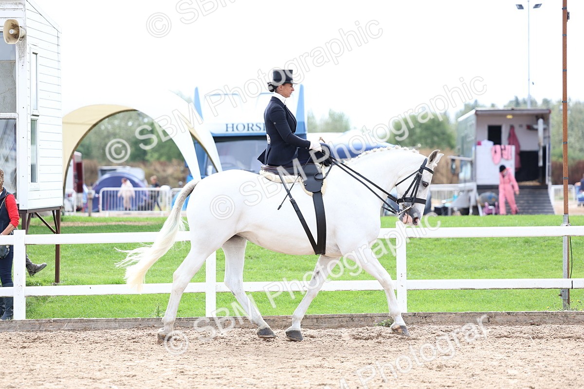 SBM_03384 - Class 24 - SSA Concours d'elegance (any age)