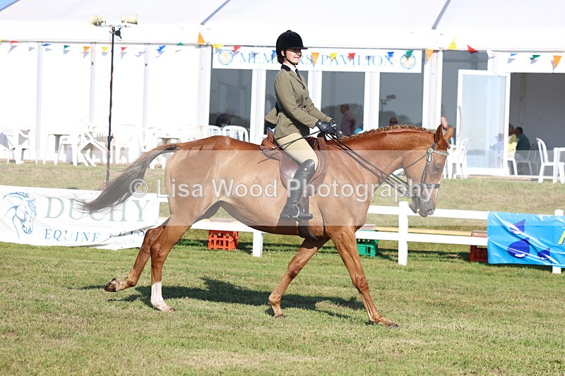 3E7A5298 - Class 2: Rising Star Large Hack/Riding Horse