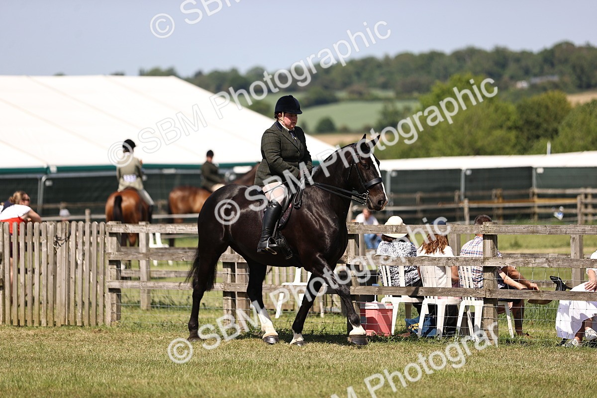 SBM_17826 - Class 81-83 - TSR Ridden Amateur of the Year - Horses