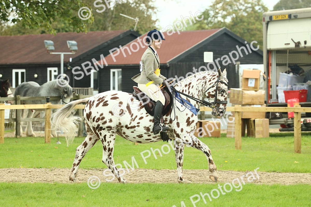SBM_62569 - S62 - Foreign Breeds Ridden