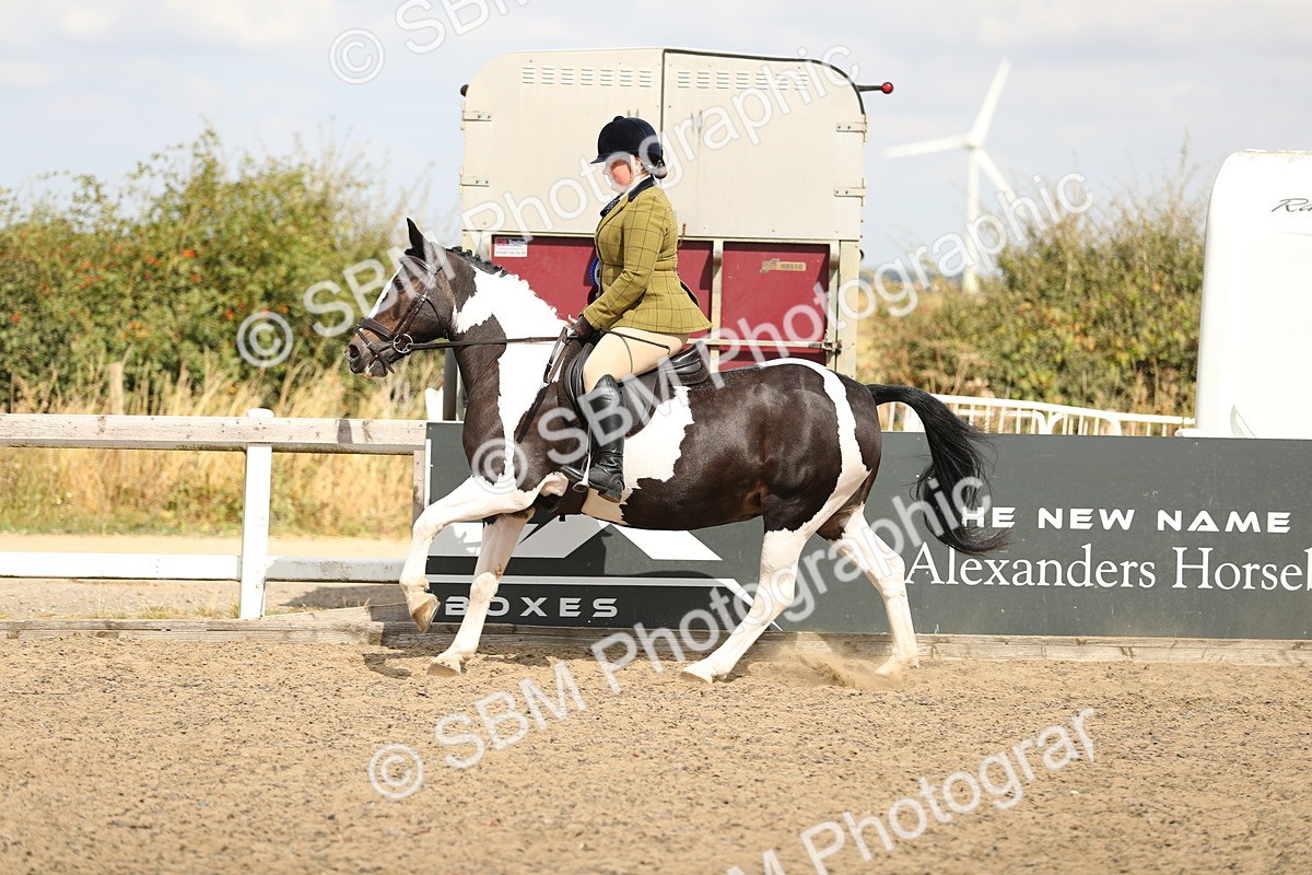 SBM_04817 - Class 46b Style & Performance 50cm (20+)