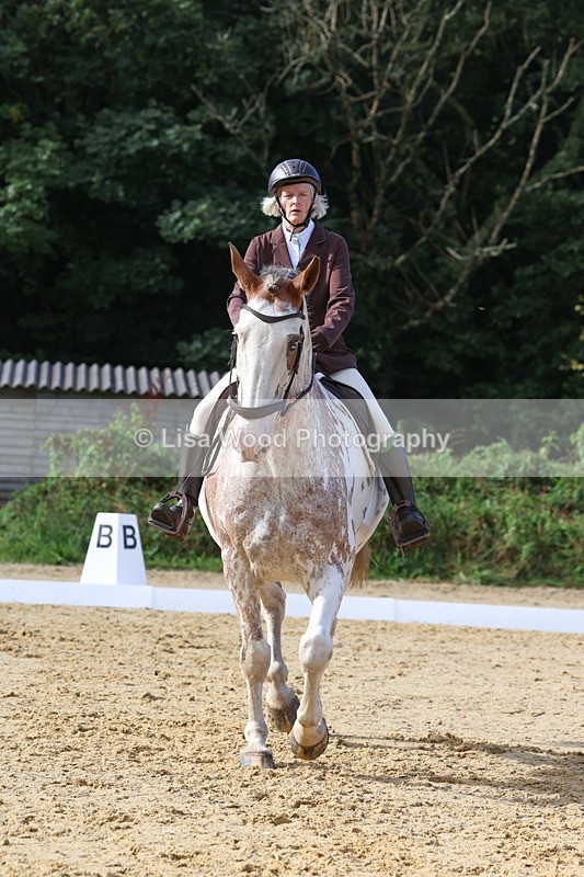 3E7A2393 - Class 1: Intro 4 2024 section A