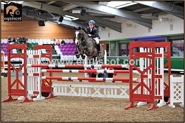 equiscot 8346 GRAHAM BABES ABC JURI - 2012 PRIZEWINNERS INDIVIDUAL PICS