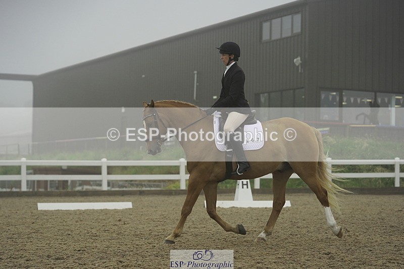 230708A-150010-03954 - Prelim 18