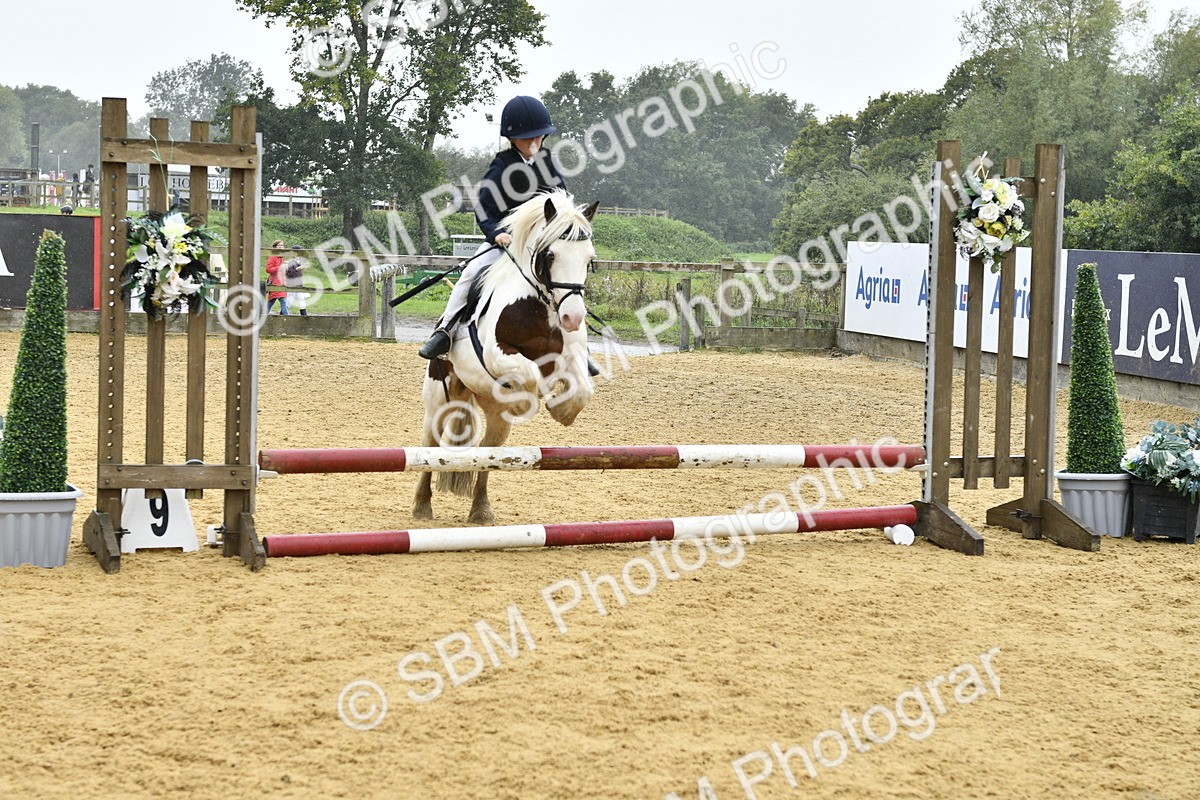 SBM_70924 - J3 - Mini Tour Junior Pony 40cm championship