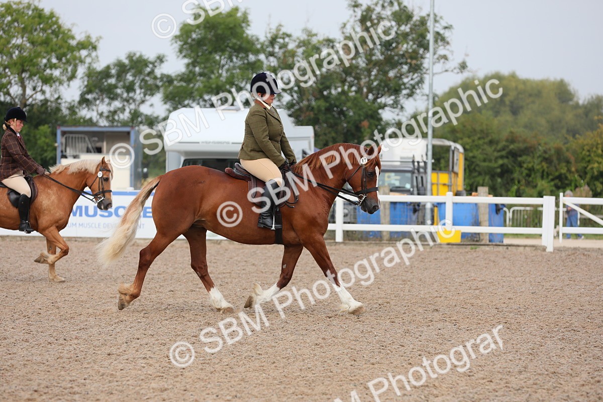 SBM_09981 - Class 302 Ridden M&M -Large Breeds