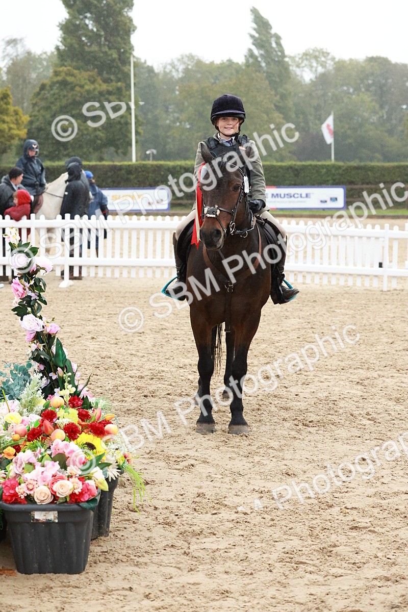 SBM_73622 - Supreme Championship Junior Pony 60cm & 65cm