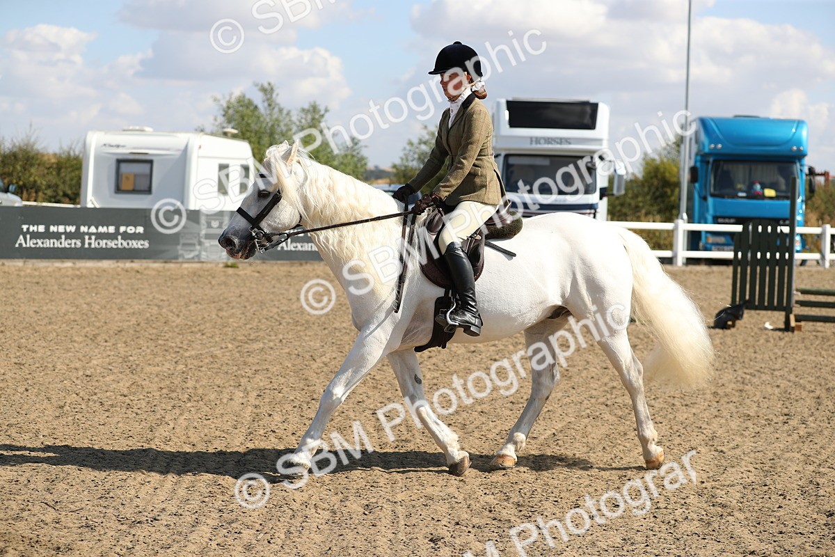 SBM_03179 - Class 44 Riding Club Horse/ Pony