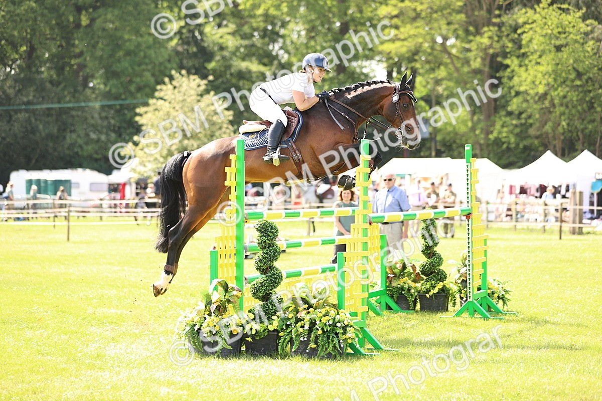 SBM_03022 - Class 201 - British Horse Feedds Speedi Beet HOYS Grade C