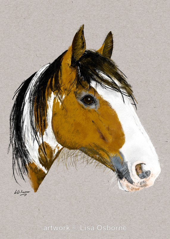 Charlie - Horses/Ponies