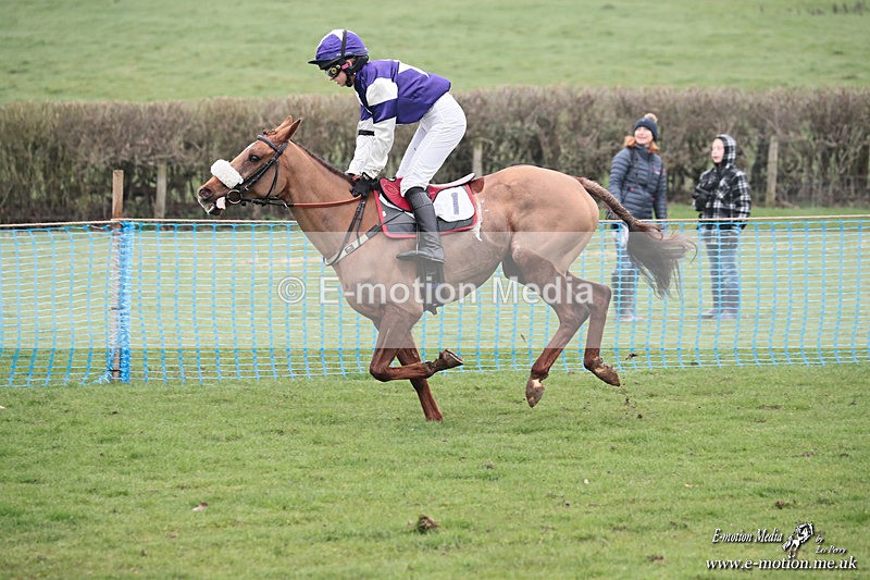 PR PtP 080326 427 - Guilsborough Pony Races 08/03/26