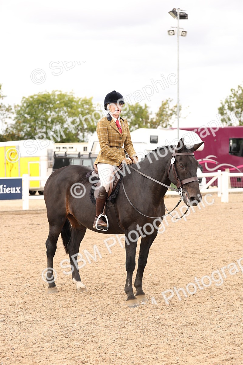 SBM_16518 - Class 212 - Ridden Hunter - Small