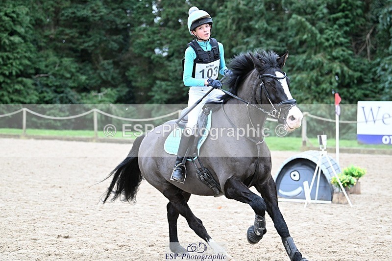 241116-115611-01185 - Cls 2 80-85cm 11.30 to End