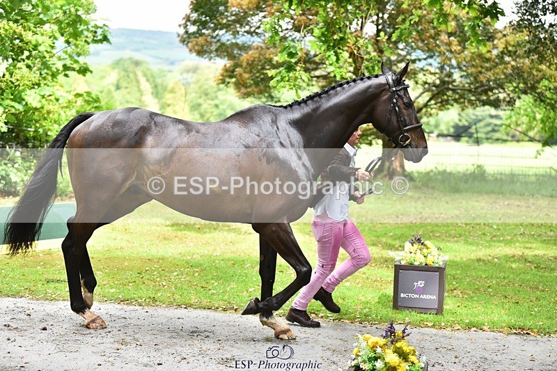 240522-153906-00504 - 370-STORM_IN_DECEMBER-Claire_Fielding