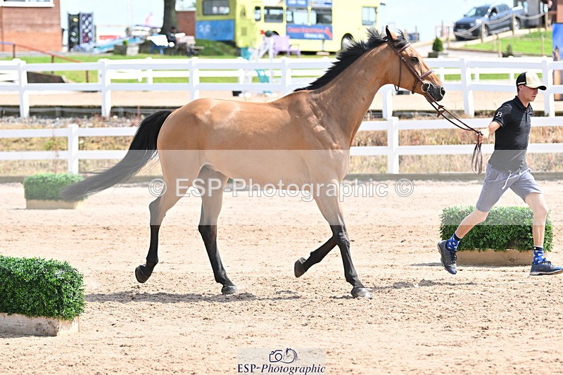 240717A-151539-02692 - Trot Up 3pm to 4pm