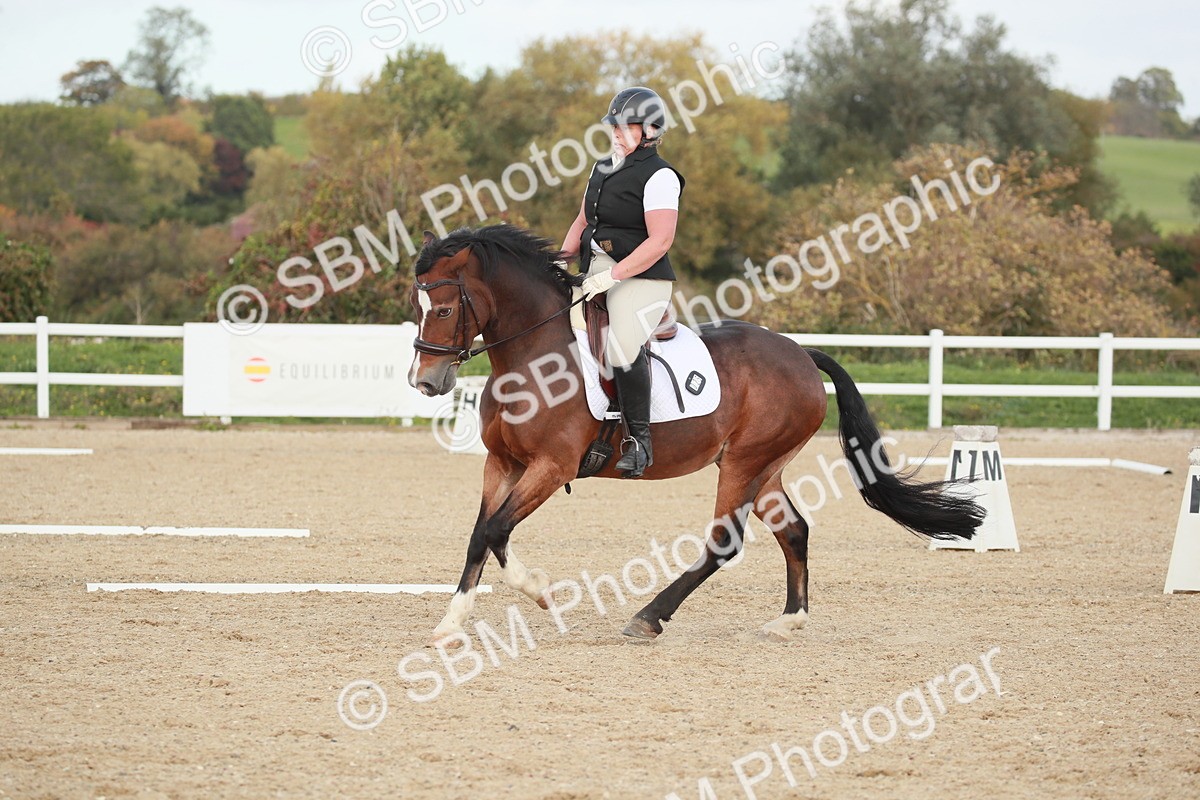 SBM_002205 - Class 6 - Elementary 5