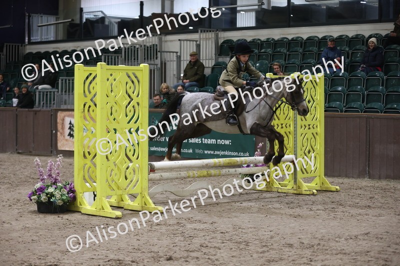 20260125-2989 - Class 3 - 60cm