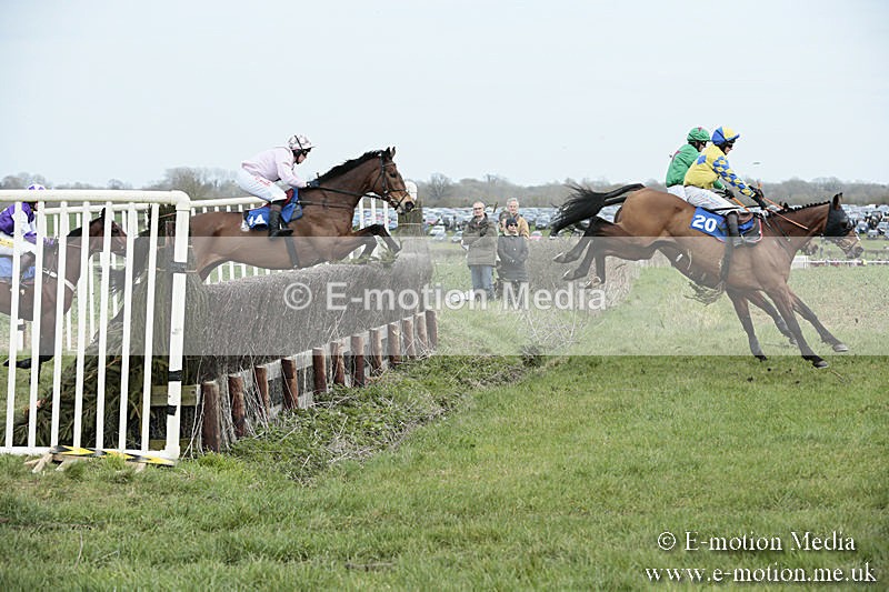 PtP 230319 185 - VWH Hunt Siddington Point-to-Point Racing 23/03/19