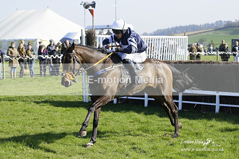 PtP 190322 592 - Wilton Hunt PtP Milborne St Andrew 19/03/22
