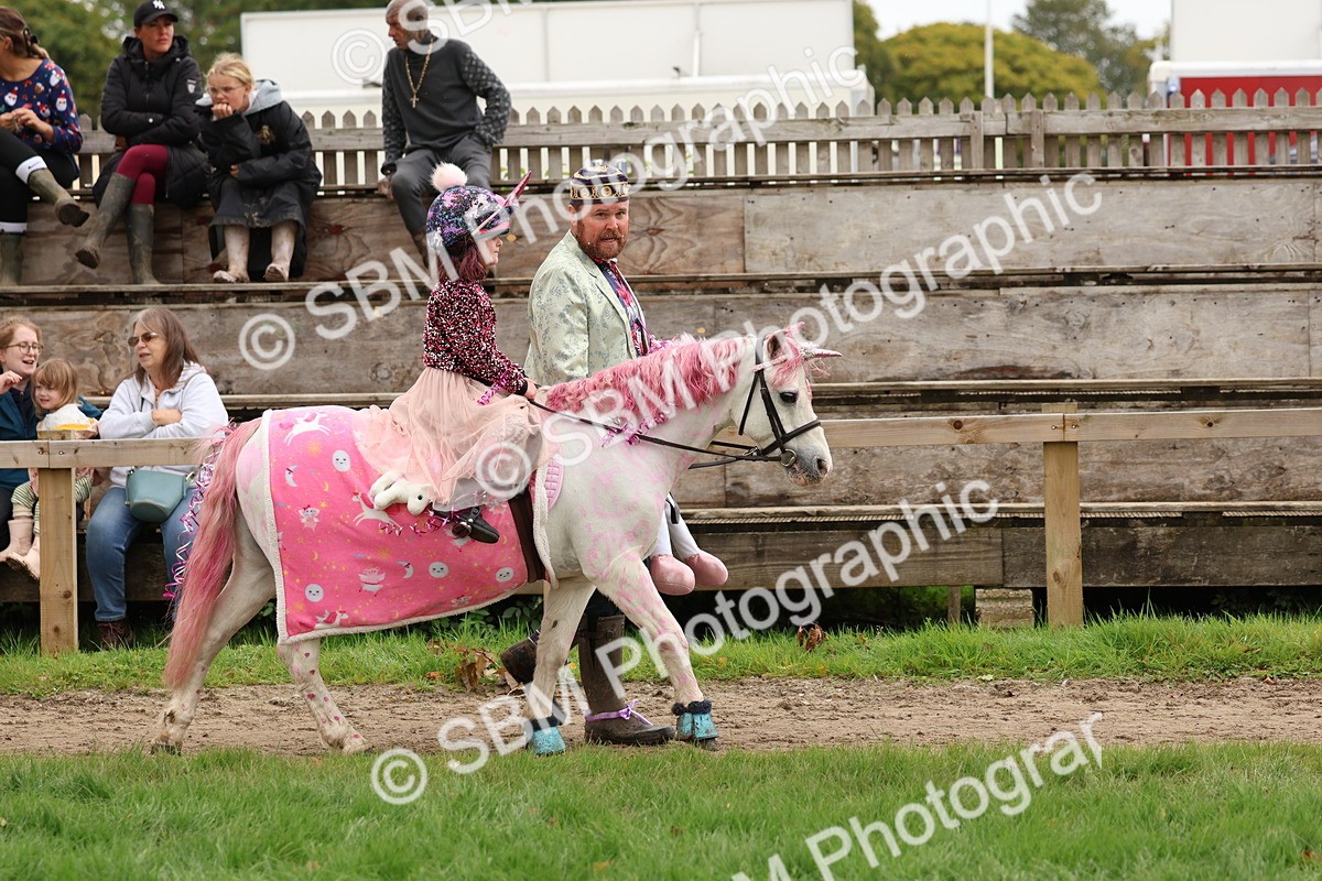 SBM_62157 - S37b - Best Unicorn