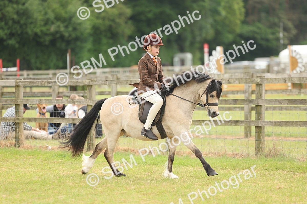 SBM_07096 - Class 76-77 - Ridden M&M Welsh Ponies