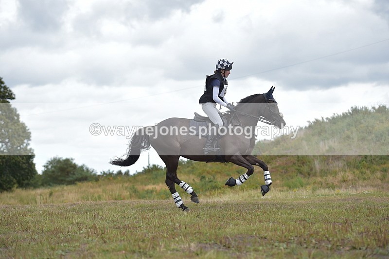 NGP_2306 - XC Time 11:20 to 11:36