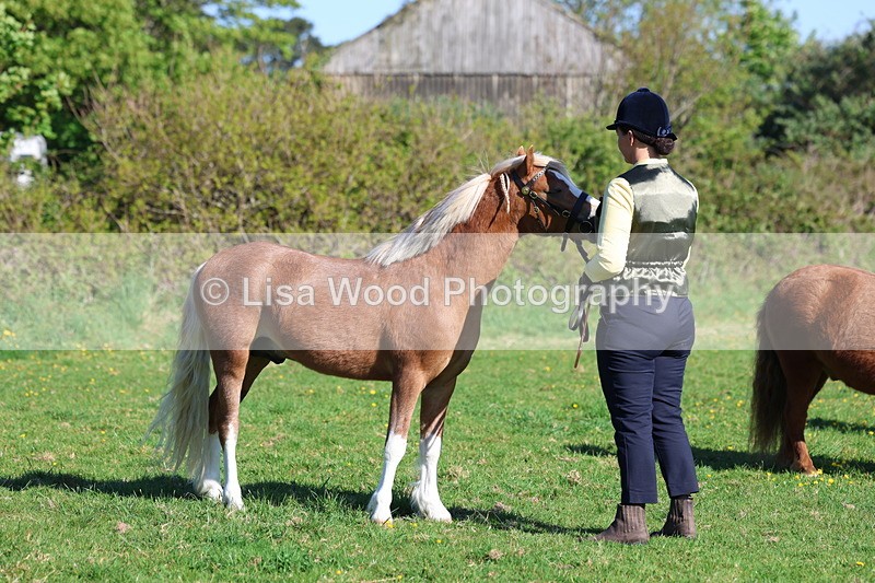 3E7A8421 - Class 12: M & M Small Breeds