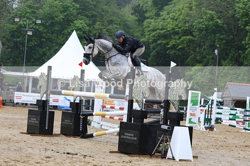 3E7A7404 - Class 8: Senior Foxhunter/1.20 open