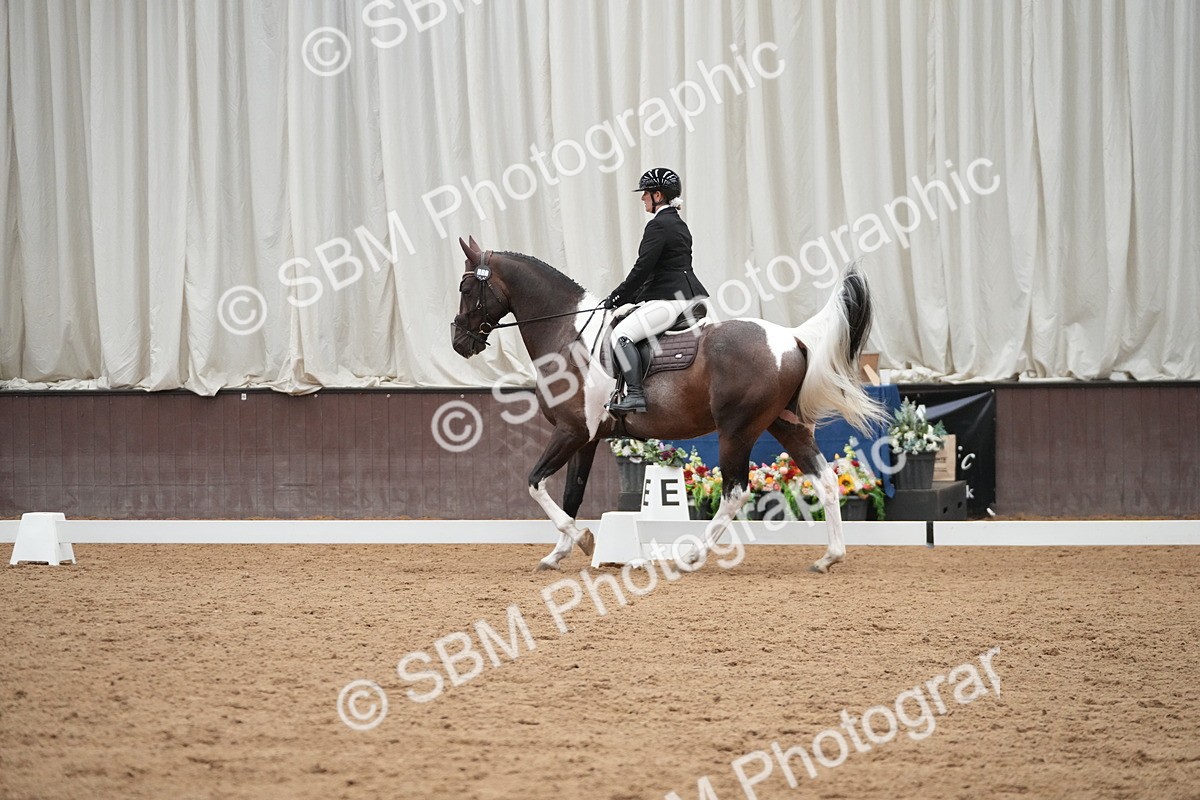 SBM_004327 - Class 11 - Elementary 2 Champs