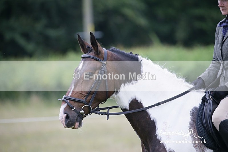 BVRC 030721 822 - Bourne Valley Riding Club Dressage 03/07/21