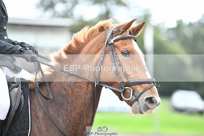 231001-152534-03221 - Cls 3 90cm