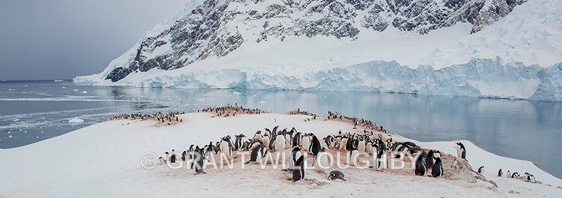  - Antartica