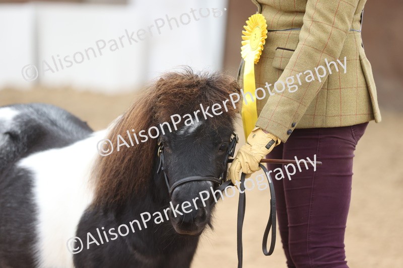 20251109-0264 - Class 11 - 2 and 3 Year Old