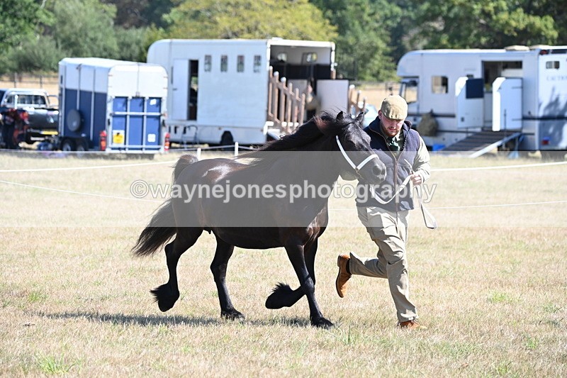 WJ6_4667 - Class 17 Mountain & Moorland
