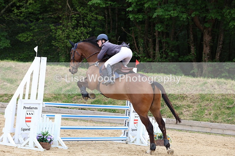 3E7A6499 - Class 4: Senior British Novice/90cm open