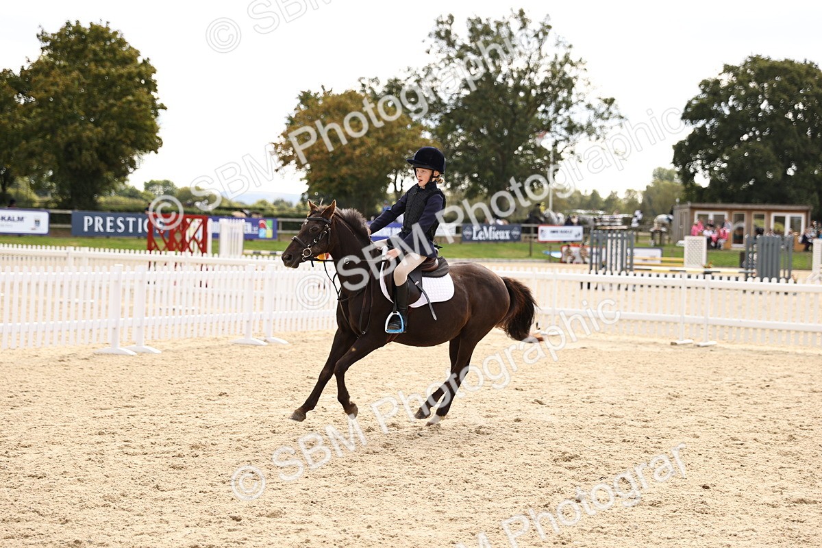 SBM_64045 - J12 - Junior Pony 55cm Championship