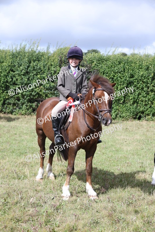 20250831-1256 - Class 15 - Ridden Veteran