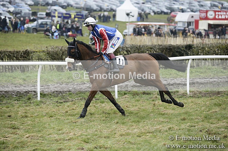 PtP 020418 -105 - Old Berks Point-to-Point Races Easter Monday 02/04/18