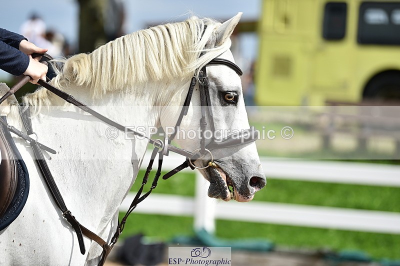 230903A-140214-04982 - Cls 20 Pony Newcomers & 1m Open