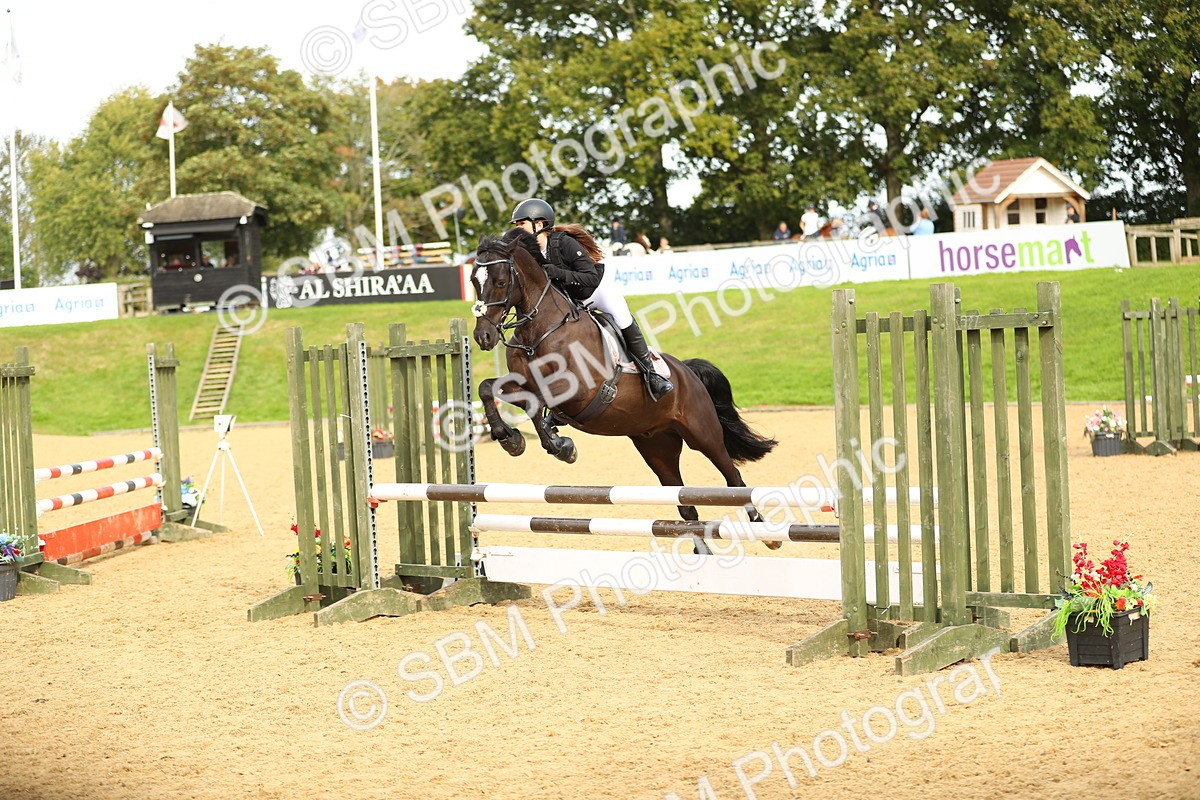 SBM_71243 - J18 - Junior Pony 85cm Championship